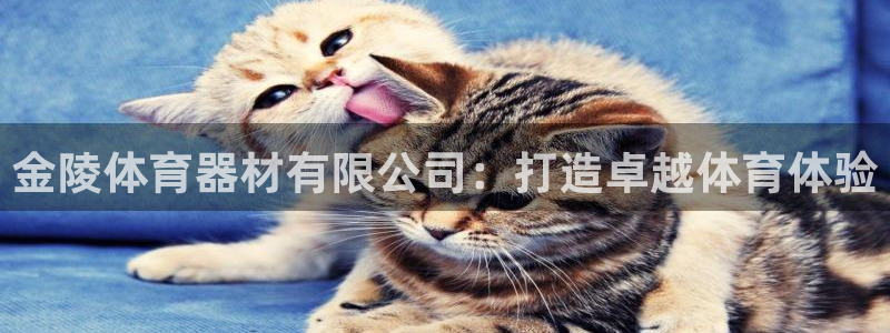 耀世平台实7O777：金陵体育器材有限公司：打造卓越