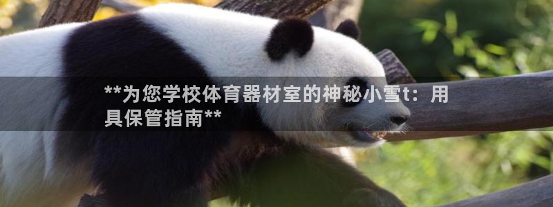耀世辉煌：**为您学校体育器材室的神秘小雪t：用
具