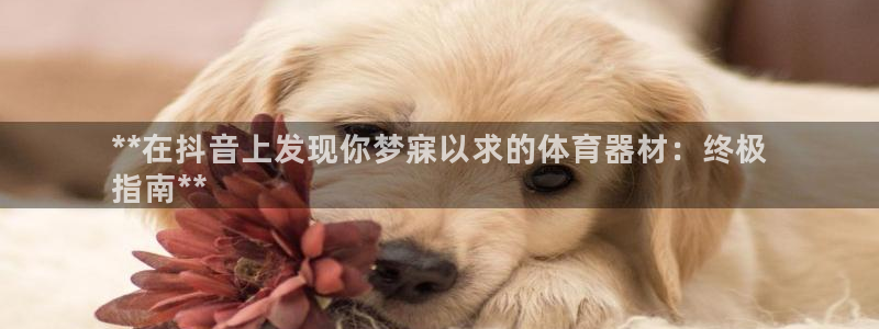 耀世娱乐登录注册：**在抖音上发现你梦寐以求的体育器