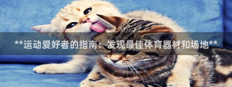 耀世登场的图片：**运动爱好者的指南：发现最佳体育器