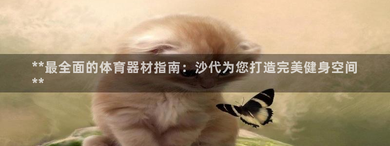 耀世平台必7O777：**最全面的体育器材指南：沙代