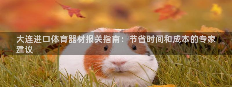 耀世登场的意思：大连进口体育器材报关指南：节省时间和