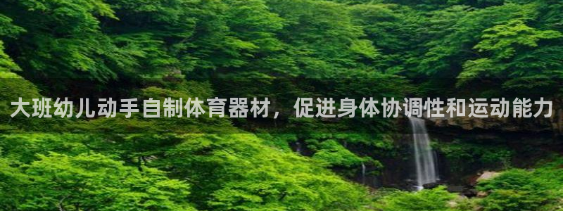 耀世集团是什么电影院：大班幼儿动手自制体育器材，促进