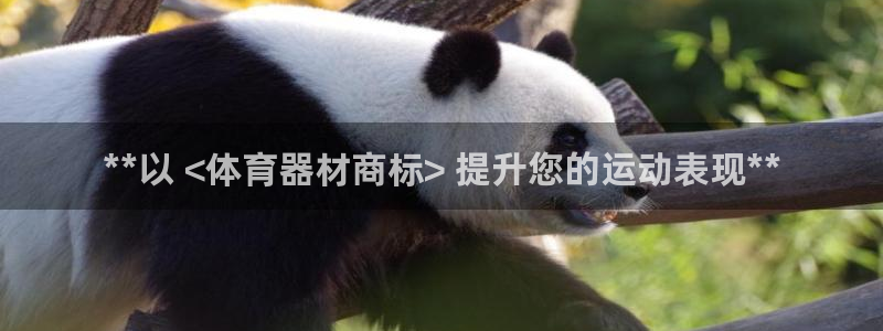 耀世娱乐app下载安装苹果：**以 <体育器材商标>