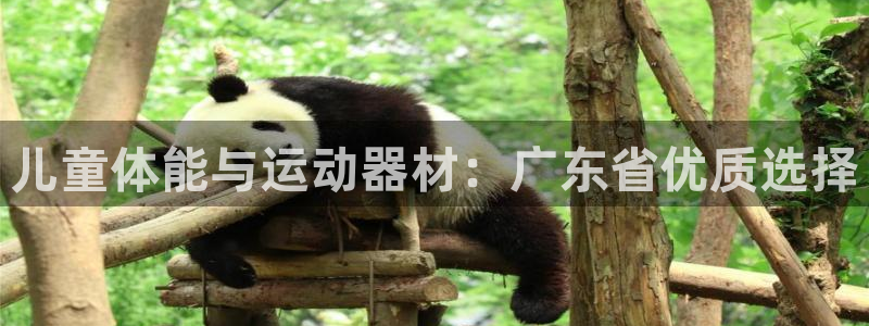 耀世来袭：儿童体能与运动器材：广东省优质选择