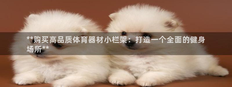 耀世娱乐如何登录平台：**购买高品质体育器材小栏架：