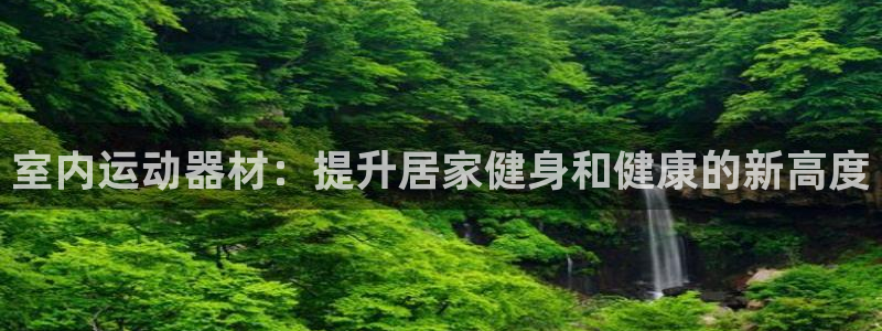 耀世集团王总简介：室内运动器材：提升居家健身和健康的