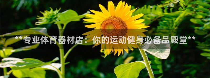 耀世娱乐注册官网账号：**专业体育器材店：你的运动健