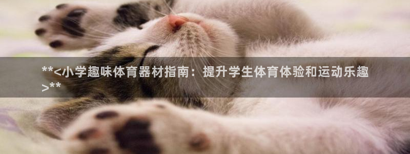 耀世娱乐挂机教程视频：**<小学趣味体育器材指南：提