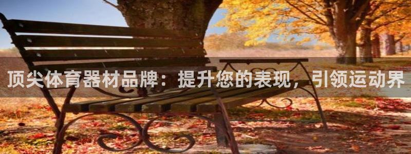 耀世娱乐赢咖6代理：顶尖体育器材品牌：提升您的表现，