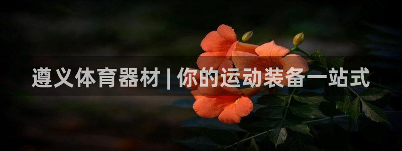 耀世成语：遵义体育器材 | 你的运动装备一站式