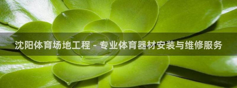 耀世娱乐百科最新：沈阳体育场地工程 - 专业体育器材