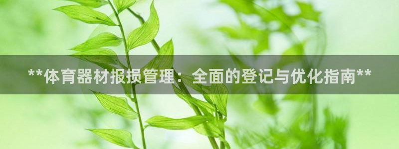 耀世盛典手游下载安装：**体育器材报损管理：全面的登