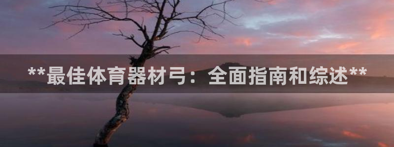 耀世平台注册登录：**最佳体育器材弓：全面指南和综述