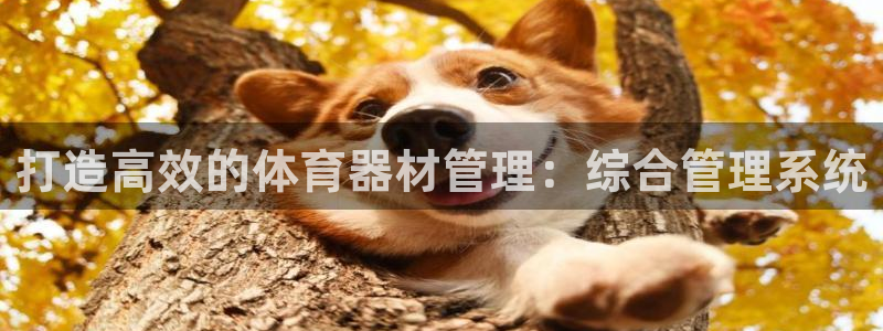 耀世官方网站入口：打造高效的体育器材管理：综合管理系