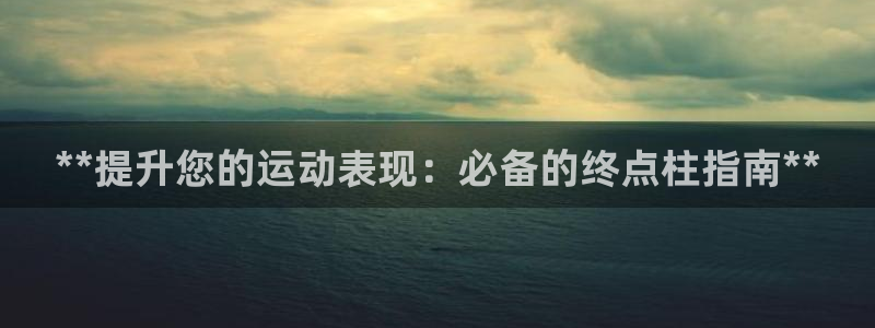 耀世集团视频：**提升您的运动表现：必备的终点柱指南