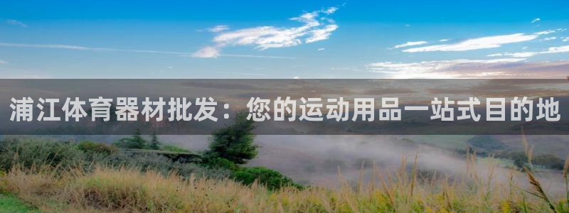 耀世集团商业联盟：浦江体育器材批发：您的运动用品一站