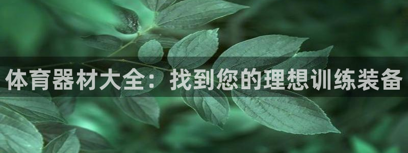 耀世游戏：体育器材大全：找到您的理想训练装备