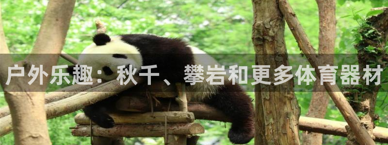 耀世而来：户外乐趣：秋千、攀岩和更多体育器材