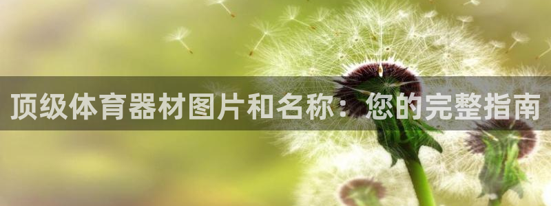 耀世娱乐注册入口在哪：顶级体育器材图片和名称：您的完