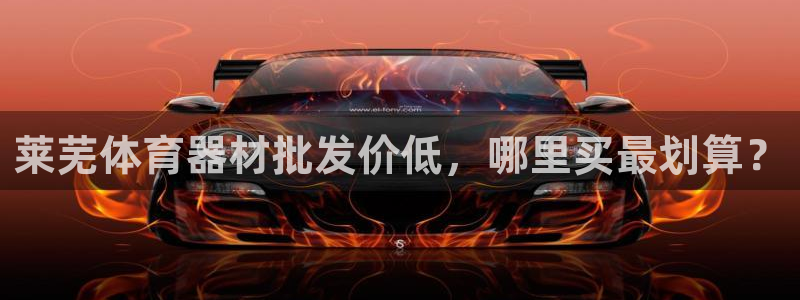 耀世娱乐脚本不死挂机能玩吗：莱芜体育器材批发价低，哪
