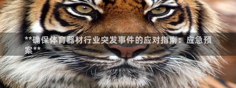 耀世娱乐代理什么待遇：**确保体育器材行业突发事件的