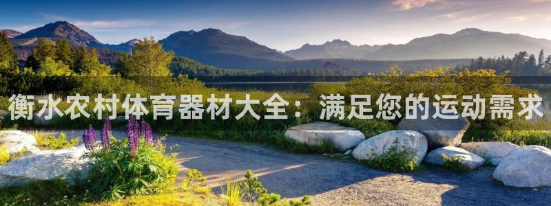 耀世盛典手游下载官网：衡水农村体育器材大全：满足您的