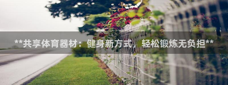 耀世娱乐官方网站下载：**共享体育器材：健身新方式，