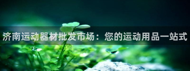 耀世娱乐平台巴7O777：济南运动器材批发市场：您的