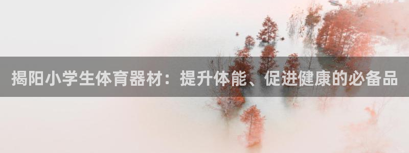 耀世而出：揭阳小学生体育器材：提升体能、促进健康的必
