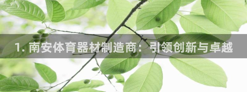 耀世娱乐平台注册地址在哪里：1. 南安体育器材制造商