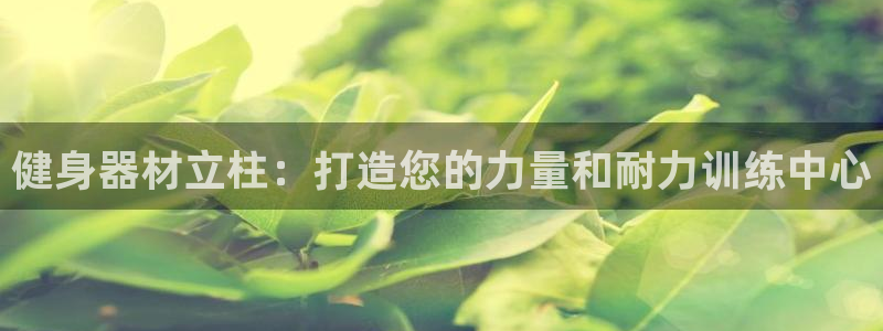 耀世国际平台正规吗可信吗：健身器材立柱：打造您的力量