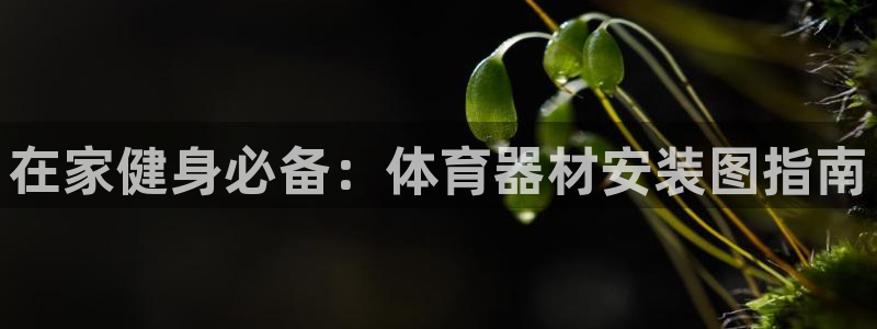 耀世娱乐登陆官网：在家健身必备：体育器材安装图指南