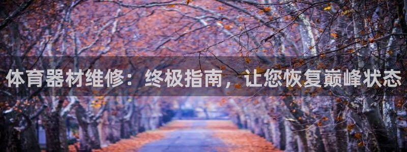 耀世娱乐客服：体育器材维修：终极指南，让您恢复巅峰状