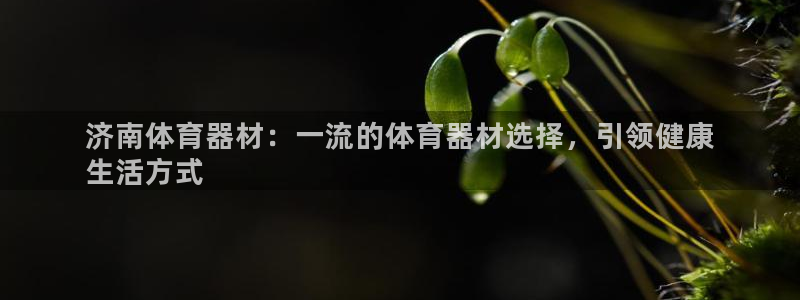 耀世平台升 5O6917 平台：济南体育器材：一流的