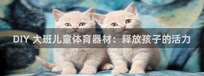 耀世集团董事长简介：DIY 大班儿童体育器材：释放孩