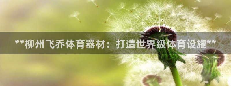 哪吒s耀世版价格：**柳州飞乔体育器材：打造世界级体
