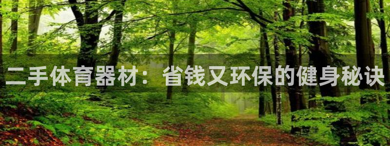 耀世而出：二手体育器材：省钱又环保的健身秘诀