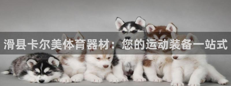 耀世集团董事长：滑县卡尔美体育器材：您的运动装备一站