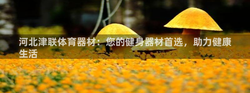 耀世啥意思：河北津联体育器材：您的健身器材首选，助力