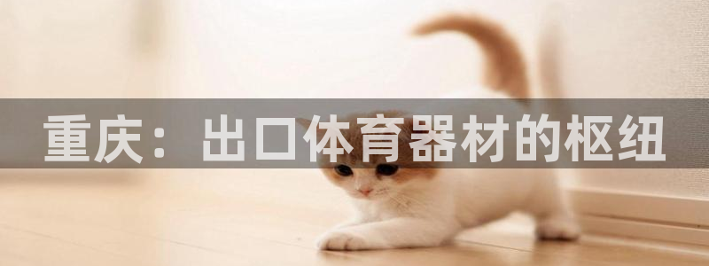 耀世娱乐科学：重庆：出口体育器材的枢纽