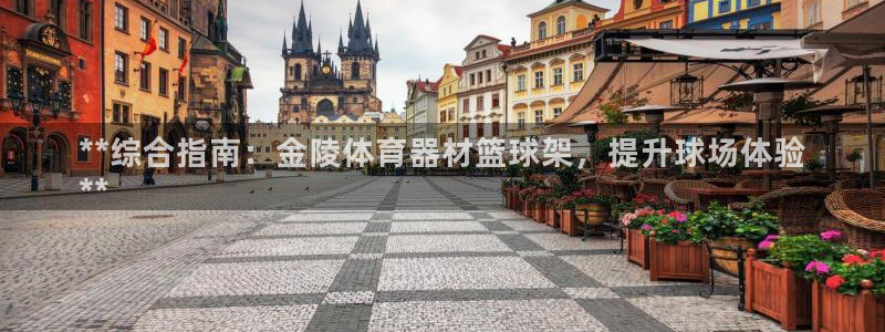 耀世娱乐返点多少钱：**综合指南：金陵体育器材篮球架