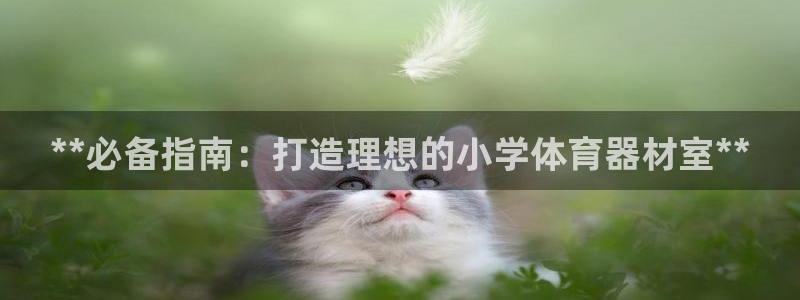 耀世平台管 5O6917 耀世：**必备指南：打造理