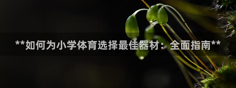 耀世娱乐客服电话号码：**如何为小学体育选择最佳器材