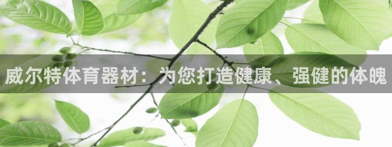 耀世平台推 411o31 耀世：威尔特体育器材：为您