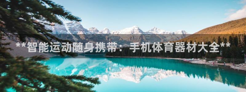 耀世盛典官网入口：**智能运动随身携带：手机体育器材