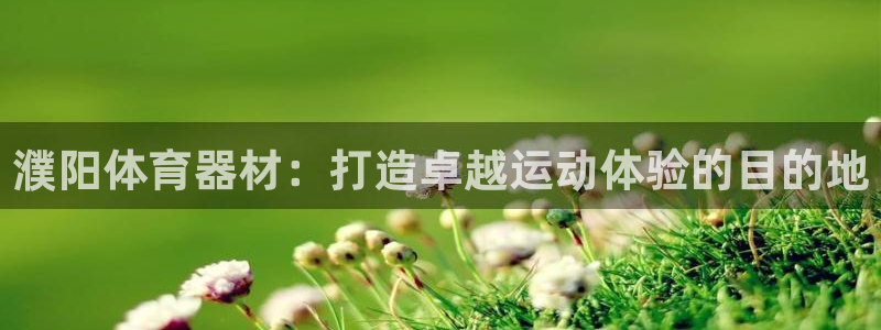 耀世登场后面一句：濮阳体育器材：打造卓越运动体验的目