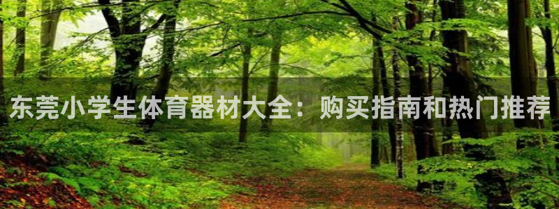 耀世娱乐是玛雅旗下的吗是真的吗：东莞小学生体育器材大