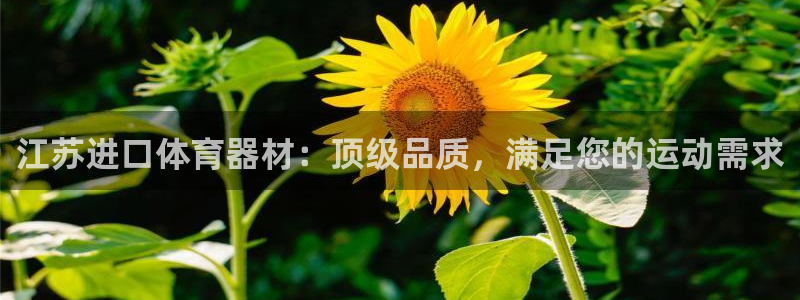 耀世天下的图片：江苏进口体育器材：顶级品质，满足您的