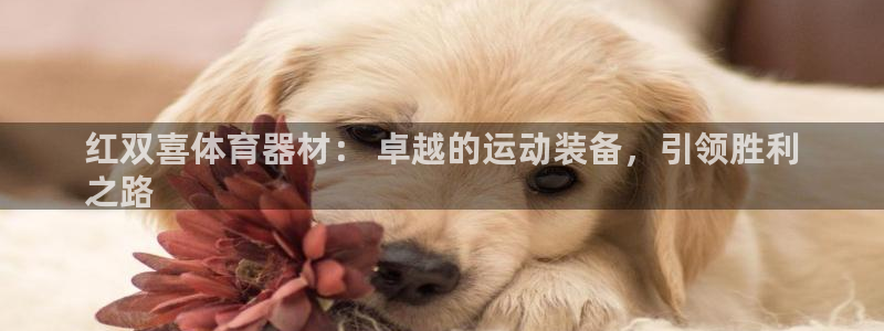 耀世娱乐登陆官网网址：红双喜体育器材： 卓越的运动装